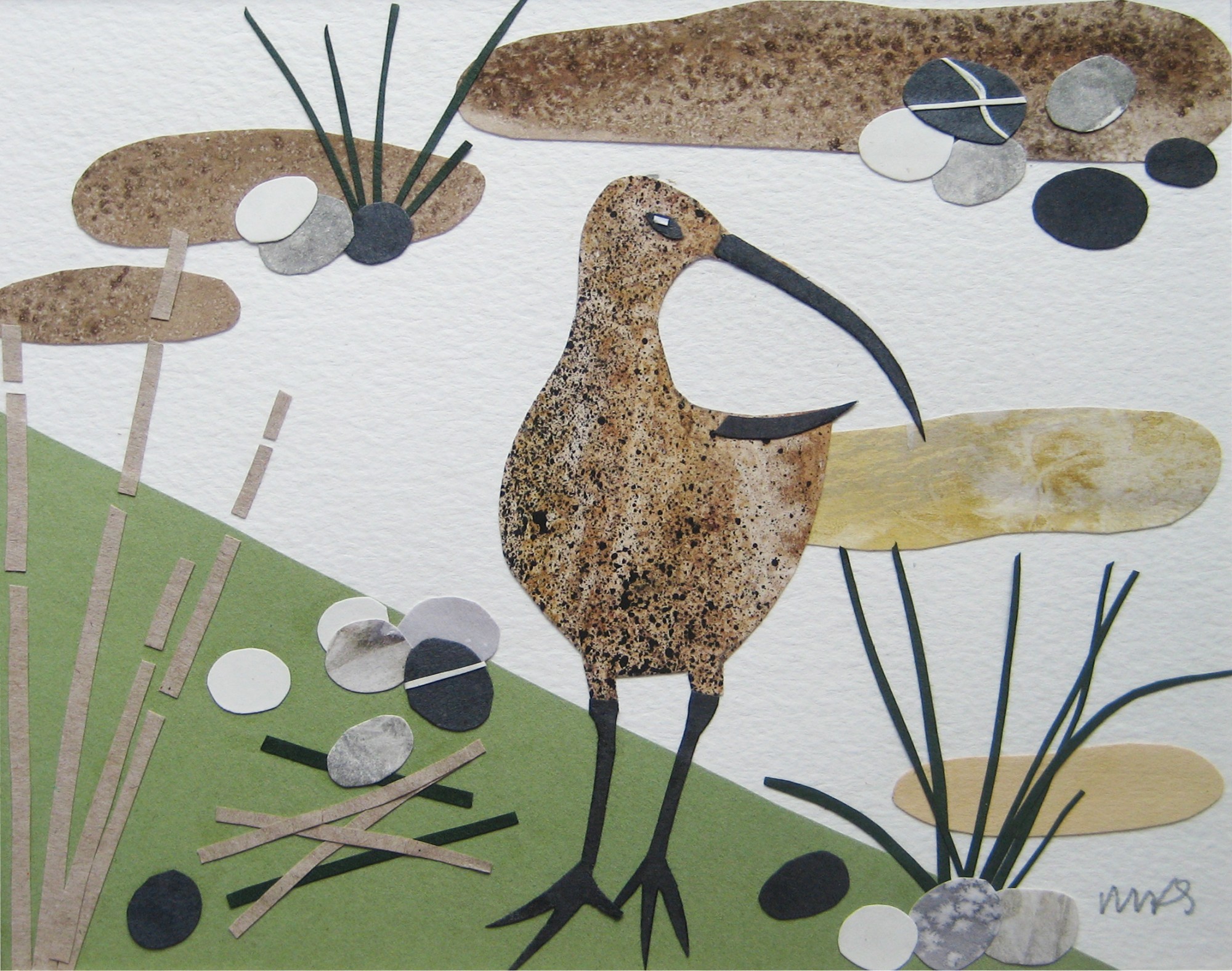 Curlew