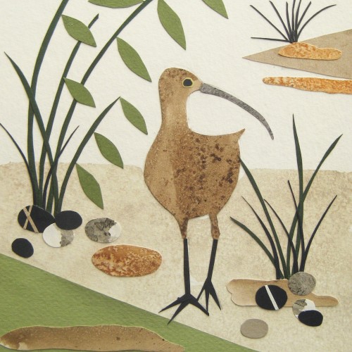 Curlew