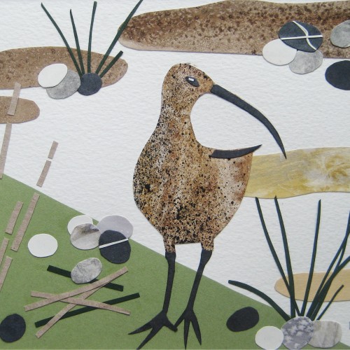 Curlew